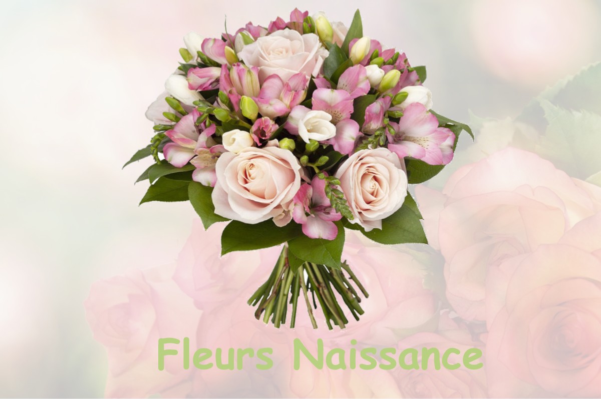 fleurs naissance LABASTIDE-PAUMES