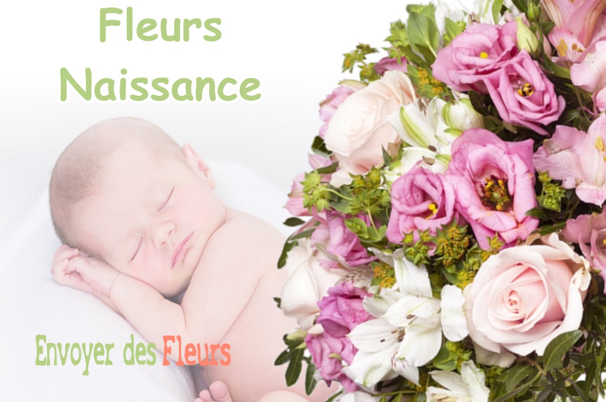 lIVRAISON FLEURS NAISSANCE à LABASTIDE-PAUMES